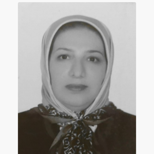 فاطمه  افشارمنش 