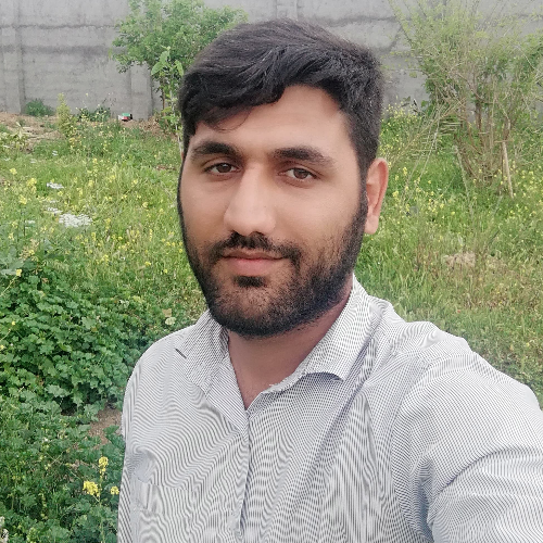  پژمان  فرهادی بیرگانی 